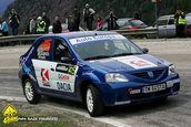 Raliul Argesului 2010