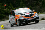 Raliul Argesului 2010