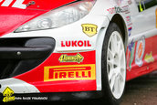 Raliul Argesului 2010