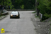 Raliul Argesului 2010