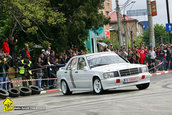 Raliul Argesului 2010