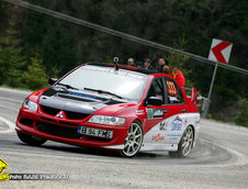 Raliul Argesului 2010