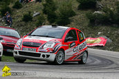 Raliul Argesului 2010