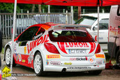 Raliul Argesului 2010