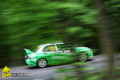 Raliul Argesului 2010