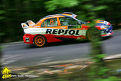 Raliul Argesului 2010