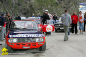 Raliul Argesului 2010