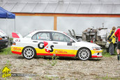Raliul Argesului 2010
