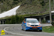 Raliul Argesului 2010
