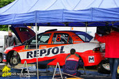 Raliul Argesului 2010