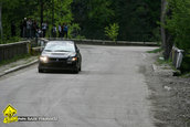 Raliul Argesului 2010