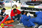 Raliul Argesului 2010