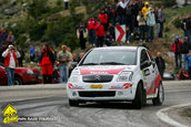 Raliul Argesului 2010