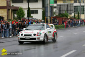 Raliul Argesului 2010