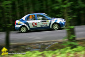 Raliul Argesului 2010