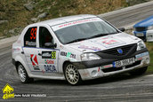 Raliul Argesului 2010