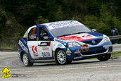 Raliul Argesului 2010