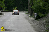 Raliul Argesului 2010