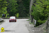Raliul Argesului 2010