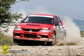 Raliul Sibiului 2009