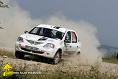 Raliul Sibiului 2009