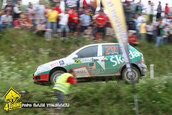 Raliul Sibiului 2009