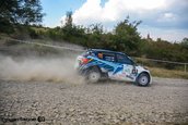 Raliul Sibiului 2013