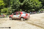 Raliul Sibiului 2013