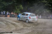 Raliul Sibiului 2013