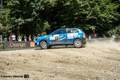 Raliul Sibiului 2013