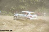 Raliul Sibiului 2013