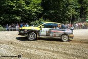Raliul Sibiului 2013