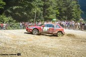 Raliul Sibiului 2013