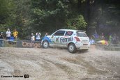 Raliul Sibiului 2013