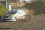 Raliul Sibiului 2013