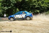 Raliul Sibiului 2013