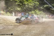 Raliul Sibiului 2013
