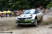 Raliul Sibiului 2013