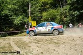 Raliul Sibiului 2013
