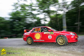 Raliul Targu Mures 2010