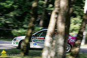 Raliul Targu Mures 2010
