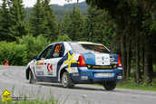 Raliul Targu Mures 2010