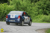 Raliul Targu Mures 2010