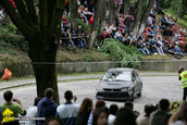 Raliul Targu Mures 2010