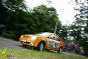 Raliul Targu Mures 2010
