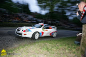 Raliul Targu Mures 2010