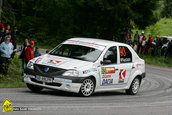 Raliul Targu Mures 2010