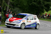 Raliul Targu Mures 2010