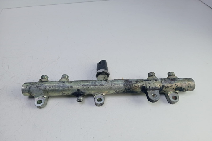 Rampa injectoare 0445224009 Fiat Ducato 2 Typ244 [2002 - 2006]
