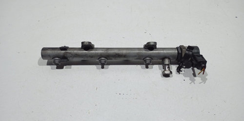 Rampa injectoare 05913009d 3.0TDI Audi Q7 4L [2005 - 2009]